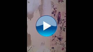 Wallpaper Removal and Texturing