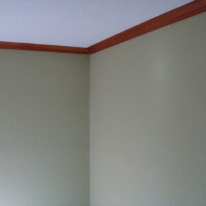 Wallpaper Texture & Painting in Dell City, Oklahoma