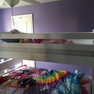 Purple Passion Interior Painting Edmond Purple Passion Interior Painting Edmond