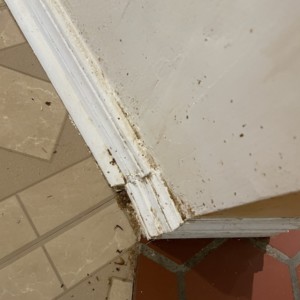 Interior House Painters Dover Oklahoma