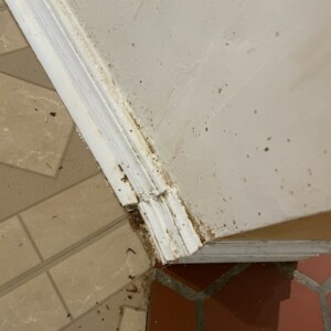 Interior House Painters Dover Oklahoma