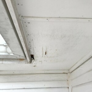 Exterior House Painters Moore Oklahoma