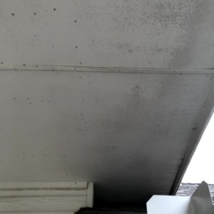 Exterior House Painters Moore Oklahoma