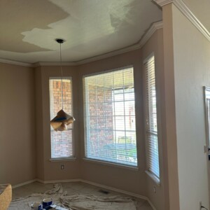 Edmond Oklahoma, Interior House Repaint