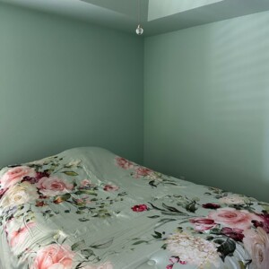 Edmond Oklahoma, Interior House Repaint