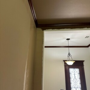 Bold Color Transformation Edmond OK