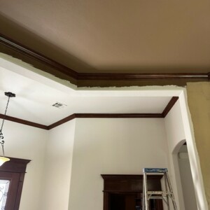 Bold Color Transformation Edmond OK