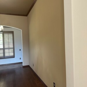 Bold Color Transformation Edmond OK